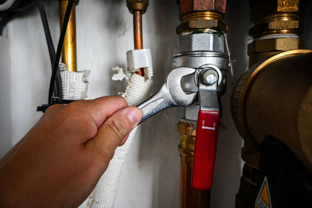 Best Clogged Drain Plumber  in Linn, MO